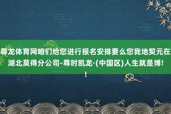 尊龙体育网咱们给您进行报名安排要么您我地契元在湖北莫得分公司-尊时凯龙·(中国区)人生就是博!