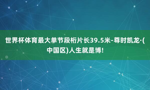 世界杯体育最大单节段桁片长39.5米-尊时凯龙·(中国区)人生就是博!