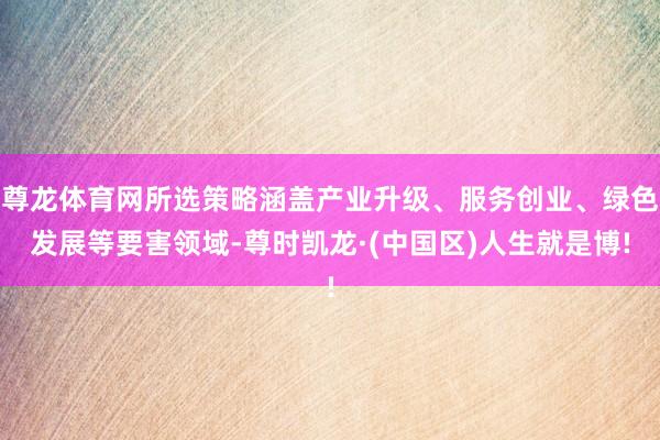 尊龙体育网所选策略涵盖产业升级、服务创业、绿色发展等要害领域-尊时凯龙·(中国区)人生就是博!