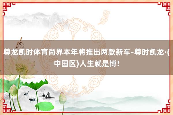 尊龙凯时体育尚界本年将推出两款新车-尊时凯龙·(中国区)人生就是博!