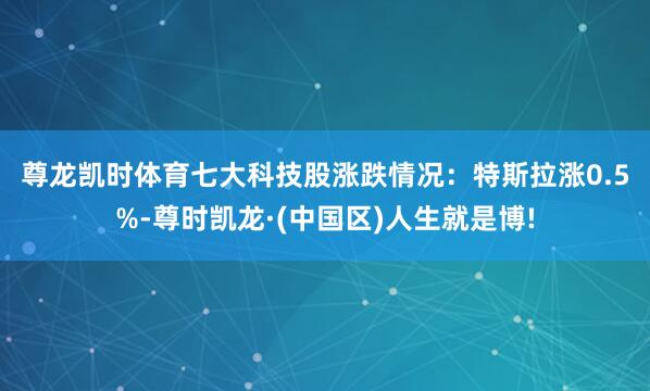 尊龙凯时体育　　七大科技股涨跌情况：特斯拉涨0.5%-尊时凯龙·(中国区)人生就是博!